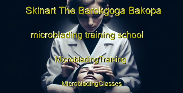 Skinart The Barokgoga Bakopa microblading training school | #MicrobladingTraining #MicrobladingClasses #SkinartTraining-South Africa