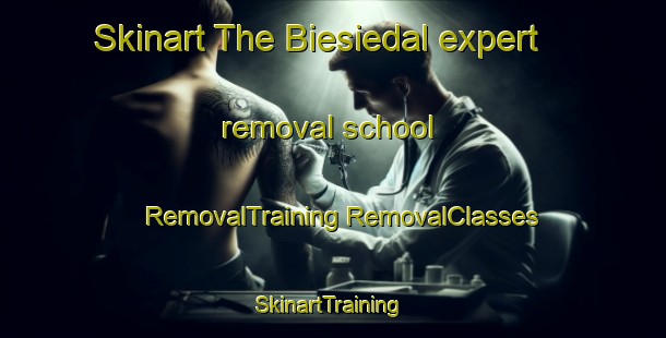 Skinart The Biesiedal expert removal school | #RemovalTraining #RemovalClasses #SkinartTraining-South Africa