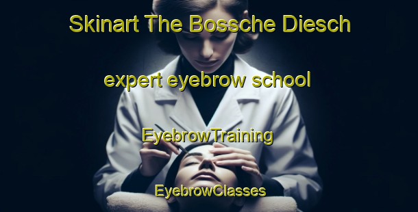 Skinart The Bossche Diesch expert eyebrow school | EyebrowTraining | EyebrowClasses | SkinartTraining-South Africa