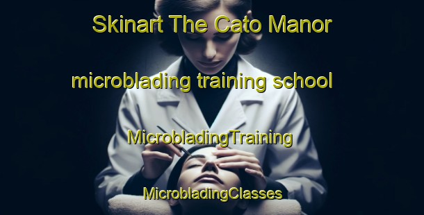 Skinart The Cato Manor microblading training school | #MicrobladingTraining #MicrobladingClasses #SkinartTraining-South Africa