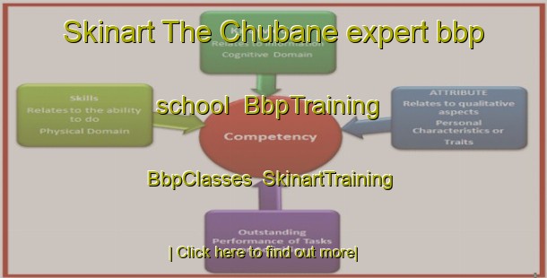 Skinart The Chubane expert bbp school | BbpTraining | BbpClasses | SkinartTraining-South Africa