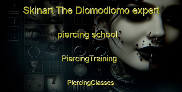 Skinart The Dlomodlomo expert piercing school | #PiercingTraining #PiercingClasses #SkinartTraining-South Africa