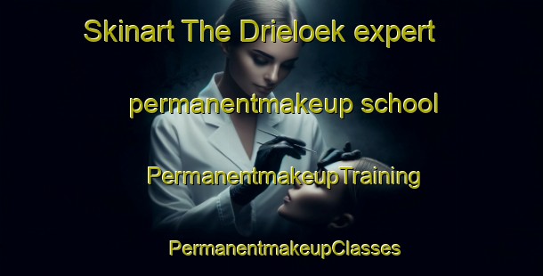 Skinart The Drieloek expert permanentmakeup school | #PermanentmakeupTraining #PermanentmakeupClasses #SkinartTraining-South Africa