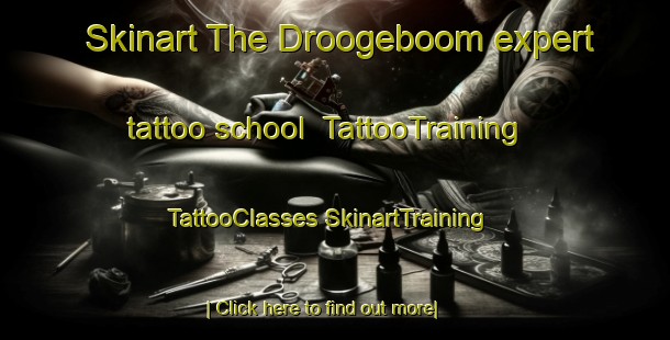 Skinart The Droogeboom expert tattoo school | #TattooTraining #TattooClasses #SkinartTraining-South Africa