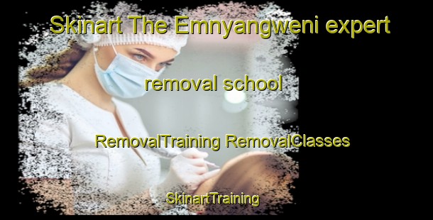 Skinart The Emnyangweni expert removal school | #RemovalTraining #RemovalClasses #SkinartTraining-South Africa