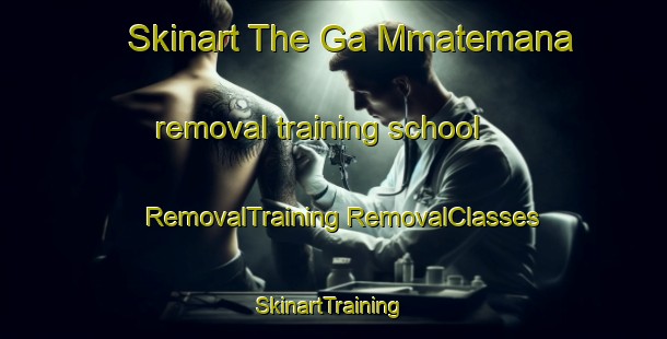 Skinart The Ga Mmatemana removal training school | #RemovalTraining #RemovalClasses #SkinartTraining-South Africa