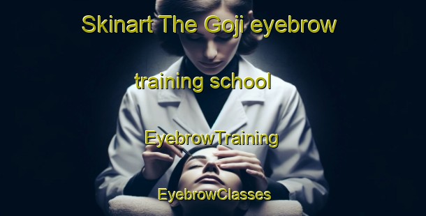 Skinart The Goji eyebrow training school | EyebrowTraining | EyebrowClasses | SkinartTraining-South Africa