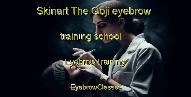 Skinart The Goji eyebrow training school | EyebrowTraining | EyebrowClasses | SkinartTraining-South Africa