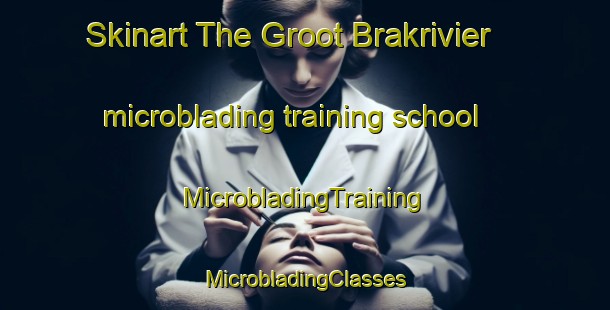 Skinart The Groot Brakrivier microblading training school | #MicrobladingTraining #MicrobladingClasses #SkinartTraining-South Africa