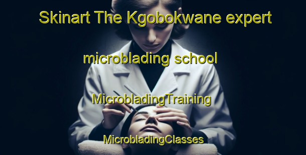 Skinart The Kgobokwane expert microblading school | #MicrobladingTraining #MicrobladingClasses #SkinartTraining-South Africa