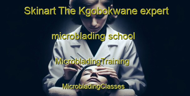 Skinart The Kgobokwane expert microblading school | MicrobladingTraining | MicrobladingClasses | SkinartTraining-South Africa