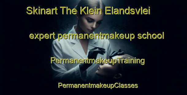 Skinart The Klein Elandsvlei expert permanentmakeup school | #PermanentmakeupTraining #PermanentmakeupClasses #SkinartTraining-South Africa