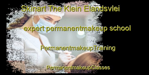 Skinart The Klein Elandsvlei expert permanentmakeup school | #PermanentmakeupTraining #PermanentmakeupClasses #SkinartTraining-South Africa