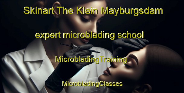 Skinart The Klein Mayburgsdam expert microblading school | #MicrobladingTraining #MicrobladingClasses #SkinartTraining-South Africa