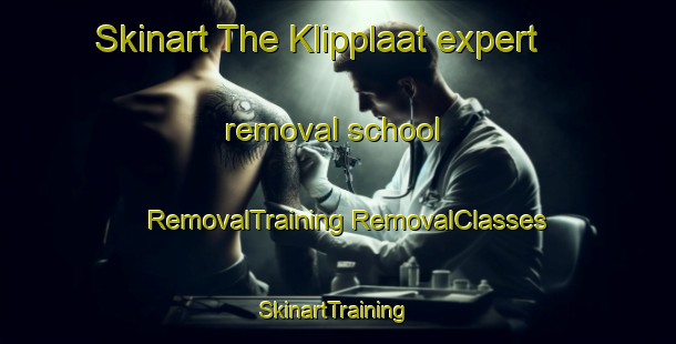 Skinart The Klipplaat expert removal school | #RemovalTraining #RemovalClasses #SkinartTraining-South Africa