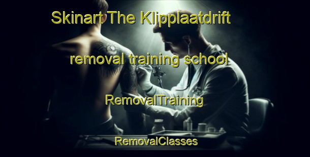 Skinart The Klipplaatdrift removal training school | RemovalTraining | RemovalClasses | SkinartTraining-South Africa