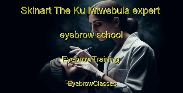 Skinart The Ku Mtwebula expert eyebrow school | EyebrowTraining | EyebrowClasses | SkinartTraining-South Africa
