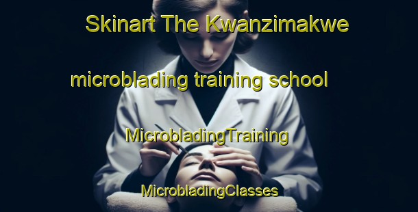 Skinart The Kwanzimakwe microblading training school | #MicrobladingTraining #MicrobladingClasses #SkinartTraining-South Africa