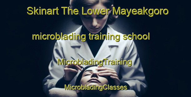 Skinart The Lower Mayeakgoro microblading training school | #MicrobladingTraining #MicrobladingClasses #SkinartTraining-South Africa