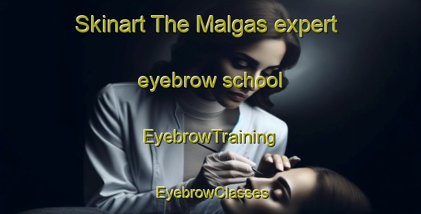 Skinart The Malgas expert eyebrow school | EyebrowTraining | EyebrowClasses | SkinartTraining-South Africa