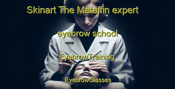 Skinart The Mataffin expert eyebrow school | EyebrowTraining | EyebrowClasses | SkinartTraining-South Africa