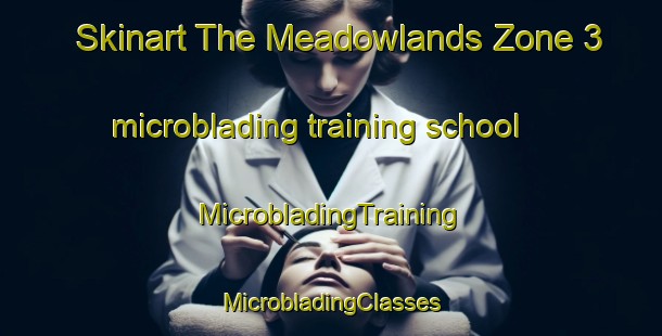 Skinart The Meadowlands Zone 3 microblading training school | #MicrobladingTraining #MicrobladingClasses #SkinartTraining-South Africa