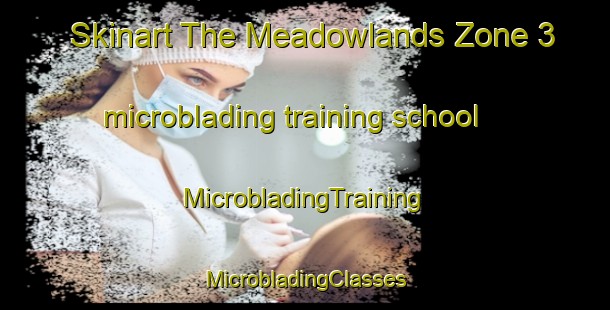 Skinart The Meadowlands Zone 3 microblading training school | #MicrobladingTraining #MicrobladingClasses #SkinartTraining-South Africa