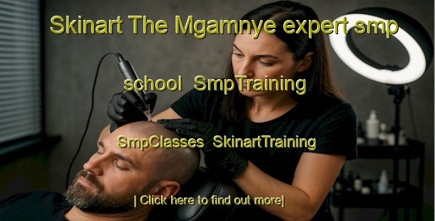 Skinart The Mgamnye expert smp school | SmpTraining | SmpClasses | SkinartTraining-South Africa