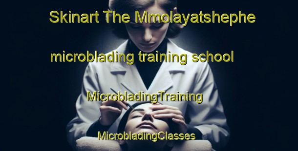 Skinart The Mmolayatshephe microblading training school | MicrobladingTraining | MicrobladingClasses | SkinartTraining-South Africa