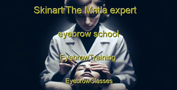 Skinart The Mntla expert eyebrow school | EyebrowTraining | EyebrowClasses | SkinartTraining-South Africa