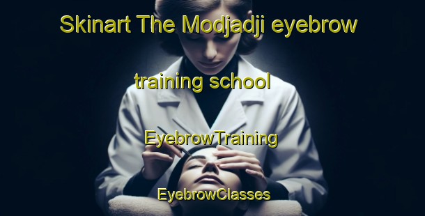 Skinart The Modjadji eyebrow training school | EyebrowTraining | EyebrowClasses | SkinartTraining-South Africa