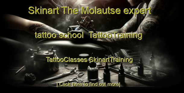 Skinart The Molautse expert tattoo school | #TattooTraining #TattooClasses #SkinartTraining-South Africa