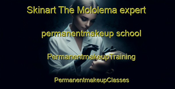 Skinart The Mololema expert permanentmakeup school | #PermanentmakeupTraining #PermanentmakeupClasses #SkinartTraining-South Africa