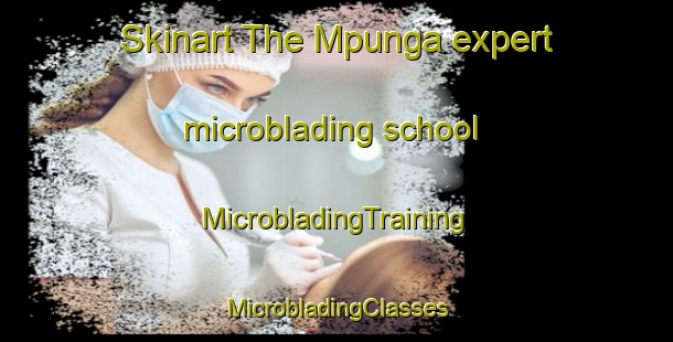 Skinart The Mpunga expert microblading school | #MicrobladingTraining #MicrobladingClasses #SkinartTraining-South Africa