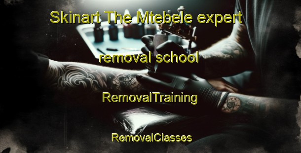 Skinart The Mtebele expert removal school | RemovalTraining | RemovalClasses | SkinartTraining-South Africa