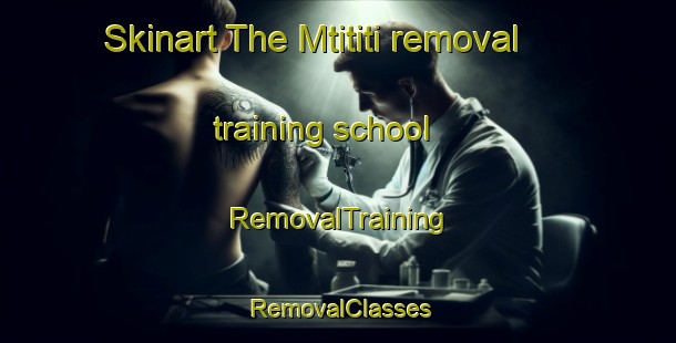 Skinart The Mtititi removal training school | RemovalTraining | RemovalClasses | SkinartTraining-South Africa