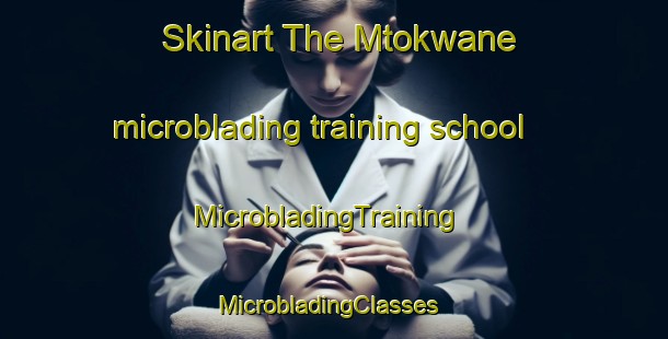 Skinart The Mtokwane microblading training school | MicrobladingTraining | MicrobladingClasses | SkinartTraining-South Africa