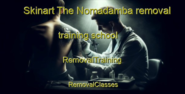 Skinart The Nomadamba removal training school | RemovalTraining | RemovalClasses | SkinartTraining-South Africa
