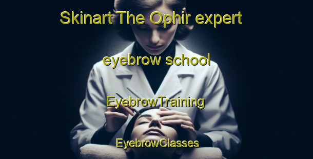 Skinart The Ophir expert eyebrow school | EyebrowTraining | EyebrowClasses | SkinartTraining-South Africa