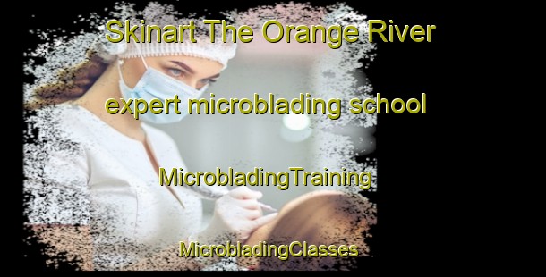 Skinart The Orange River expert microblading school | MicrobladingTraining | MicrobladingClasses | SkinartTraining-South Africa