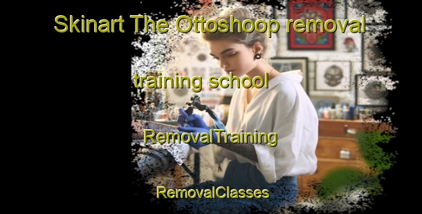 Skinart The Ottoshoop removal training school | RemovalTraining | RemovalClasses | SkinartTraining-South Africa