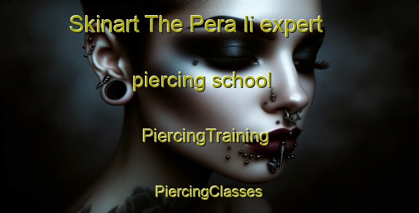 Skinart The Pera Ii expert piercing school | #PiercingTraining #PiercingClasses #SkinartTraining-South Africa