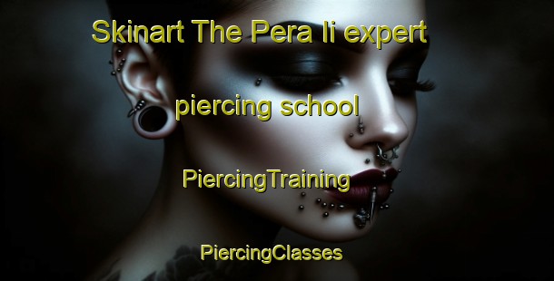 Skinart The Pera Ii expert piercing school | PiercingTraining | PiercingClasses | SkinartTraining-South Africa