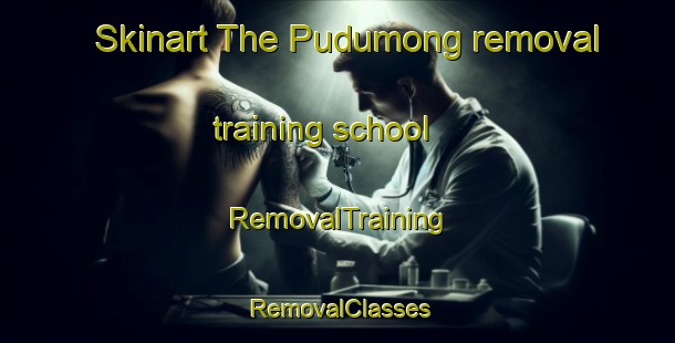 Skinart The Pudumong removal training school | RemovalTraining | RemovalClasses | SkinartTraining-South Africa