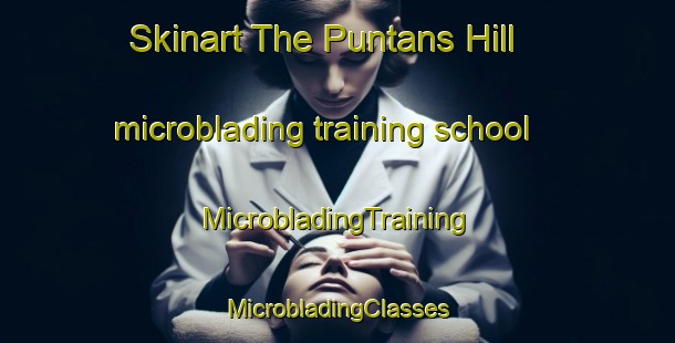 Skinart The Puntans Hill microblading training school | #MicrobladingTraining #MicrobladingClasses #SkinartTraining-South Africa