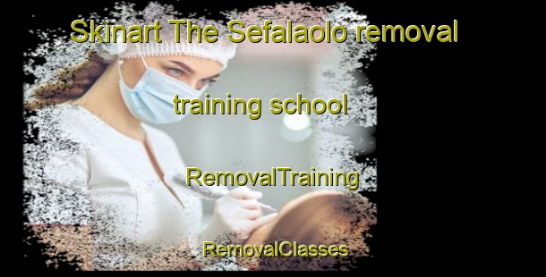 Skinart The Sefalaolo removal training school | RemovalTraining | RemovalClasses | SkinartTraining-South Africa