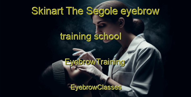 Skinart The Segole eyebrow training school | EyebrowTraining | EyebrowClasses | SkinartTraining-South Africa