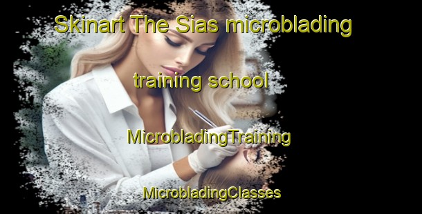 Skinart The Sias microblading training school | #MicrobladingTraining #MicrobladingClasses #SkinartTraining-South Africa