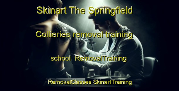 Skinart The Springfield Collieries removal training school | #RemovalTraining #RemovalClasses #SkinartTraining-South Africa