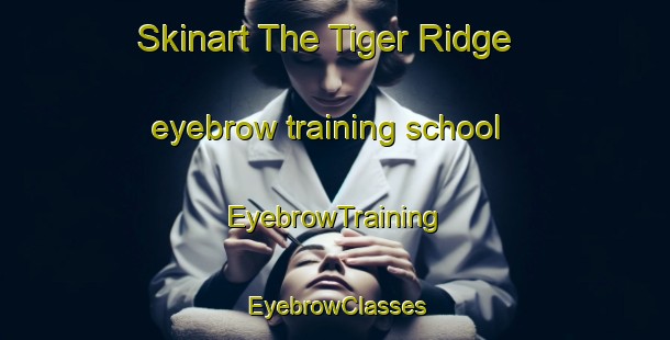 Skinart The Tiger Ridge eyebrow training school | EyebrowTraining | EyebrowClasses | SkinartTraining-South Africa
